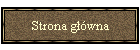 Strona g��wna