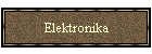 Elektronika