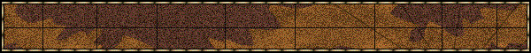 PL 1999