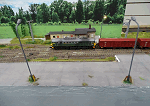 Fot.137