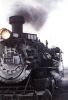 484_nose (37 Kb)