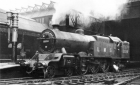 lMS 11110 (38 Kb)
