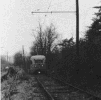 sge02476.jpg