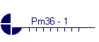 Pm36 - 1