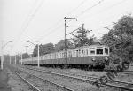 Fot.61