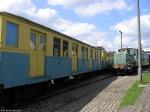 Fot.19