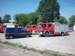 Fot.11