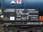 Fot.50