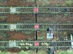 Fot.10