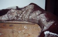 pic 6